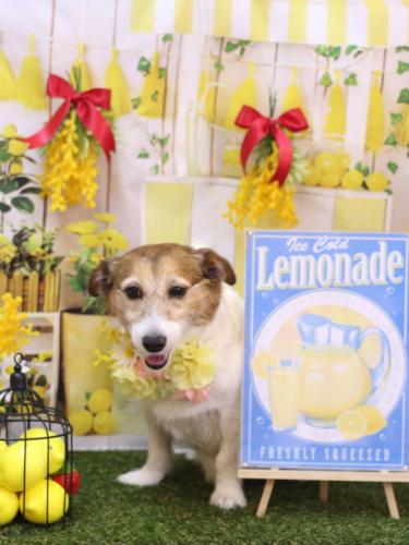 20240402こはるちゃん